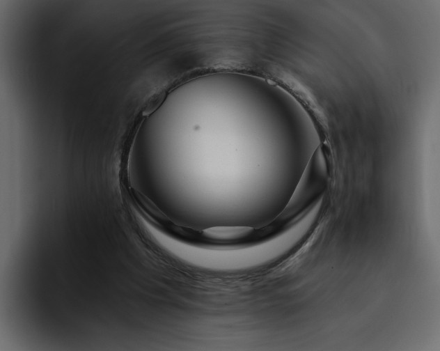 X0000095130201200712141203