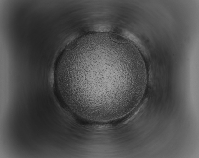 X0000095130202200712141203