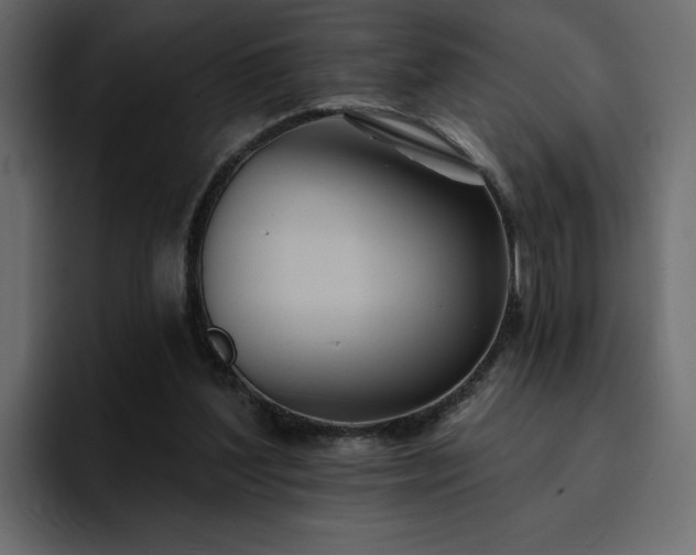 X0000095130204200712141203