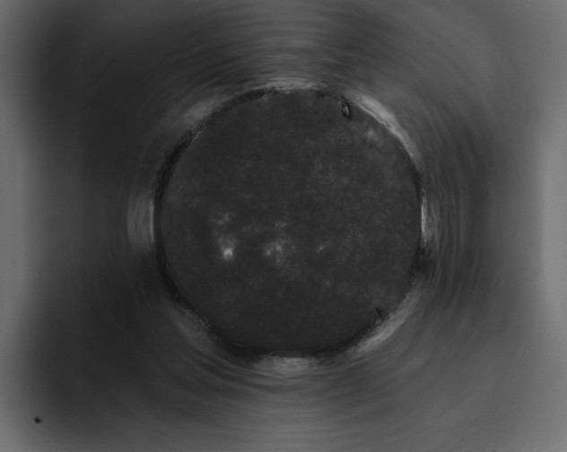 X0000095130205200712141203