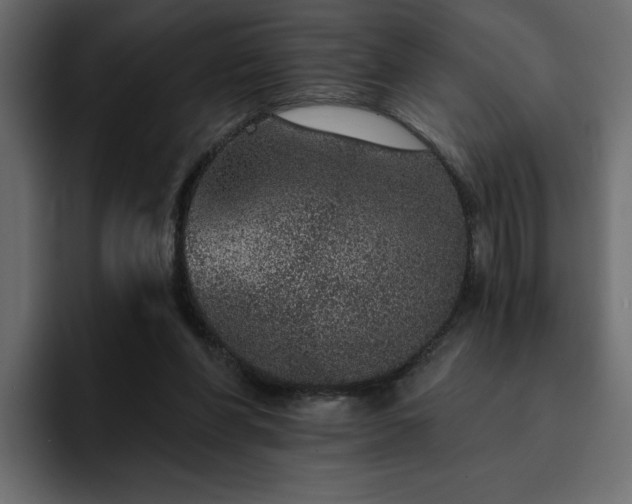 X0000095130206200712141203