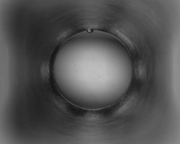 X0000095130207200712141203