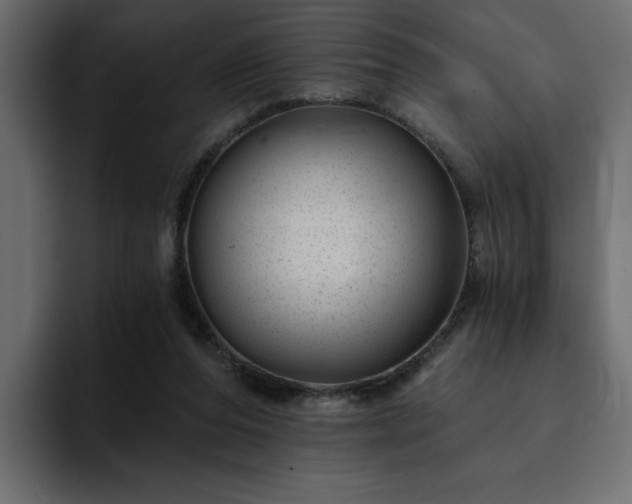 X0000095130208200712141203