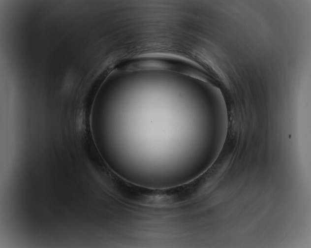 X0000095130212200712141203