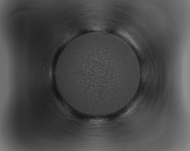 X0000095130213200712141203