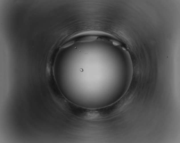 X0000095130214200712141203