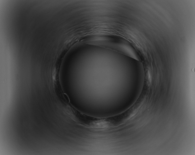 X0000095130219200712141203