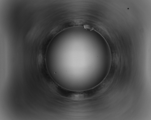 X0000095130220200712141203