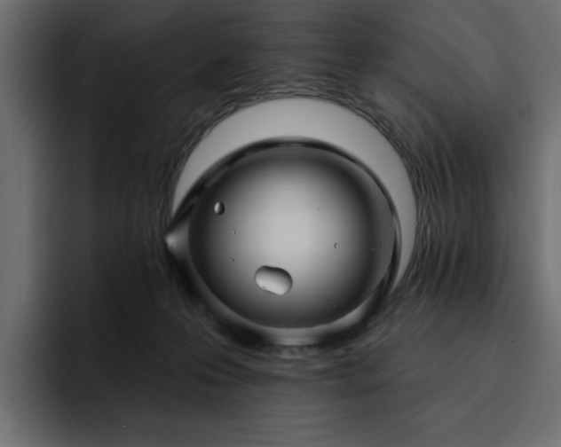 X0000095130223200712141203