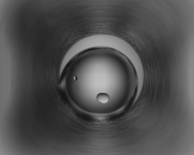 X0000095130227200712141203