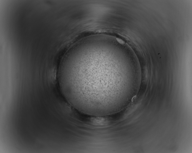 X0000095130230200712141203