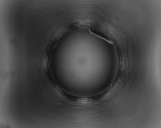 X0000095130231200712141203