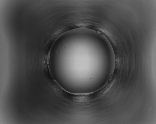 X0000095130237200712141203