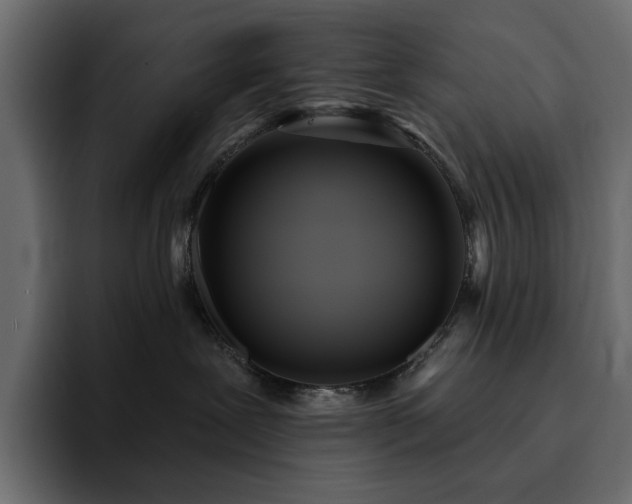 X0000095130239200712141202