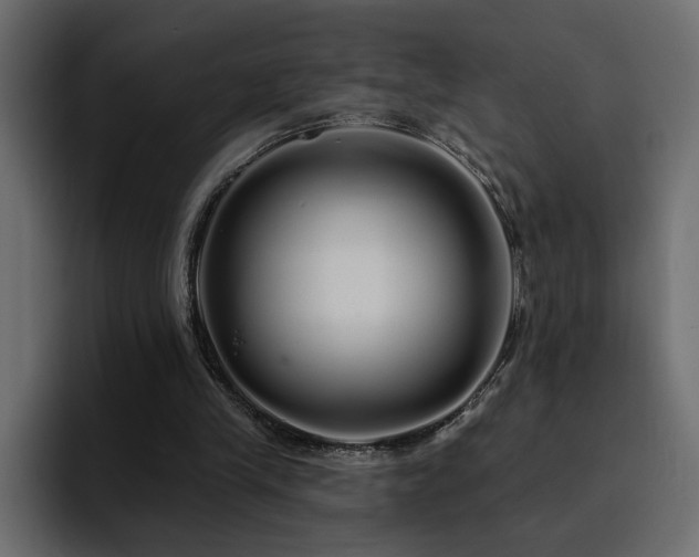 X0000095130245200712141202