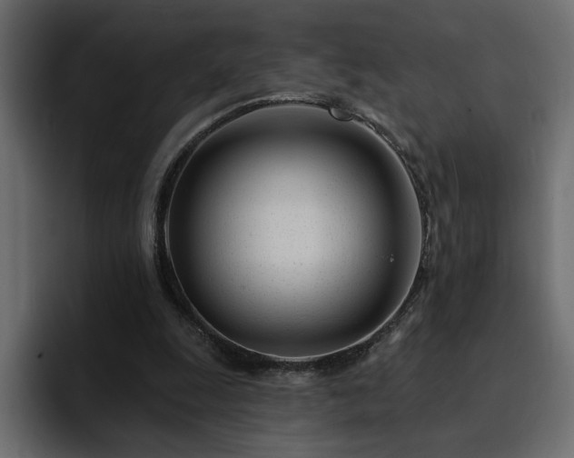 X0000095130247200712141202