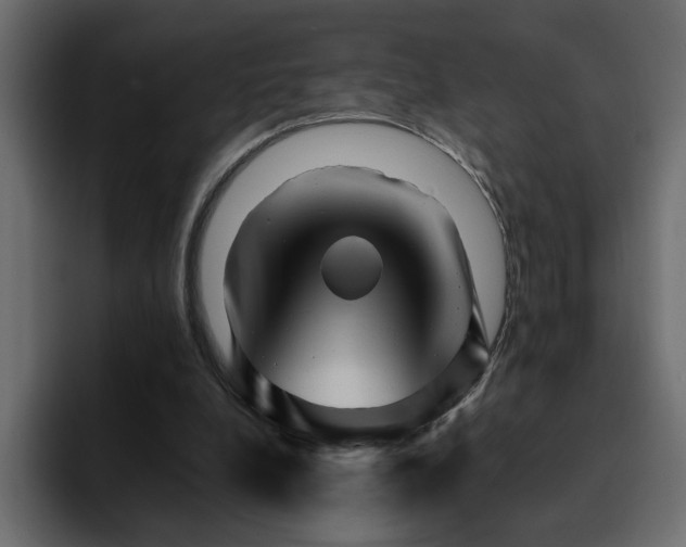 X0000095130248200712141202