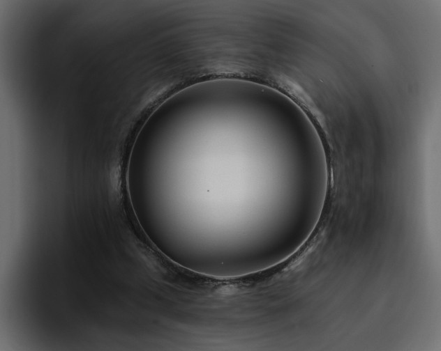 X0000095130249200712141202