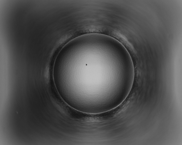 X0000095130250200712141202