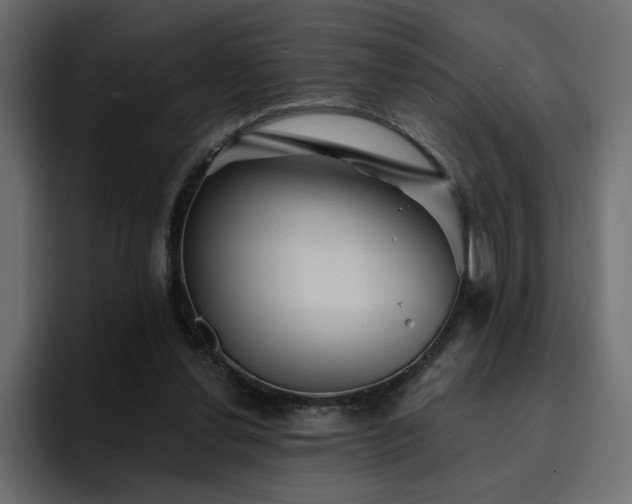 X0000095130252200712141202