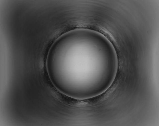 X0000095130257200712141202