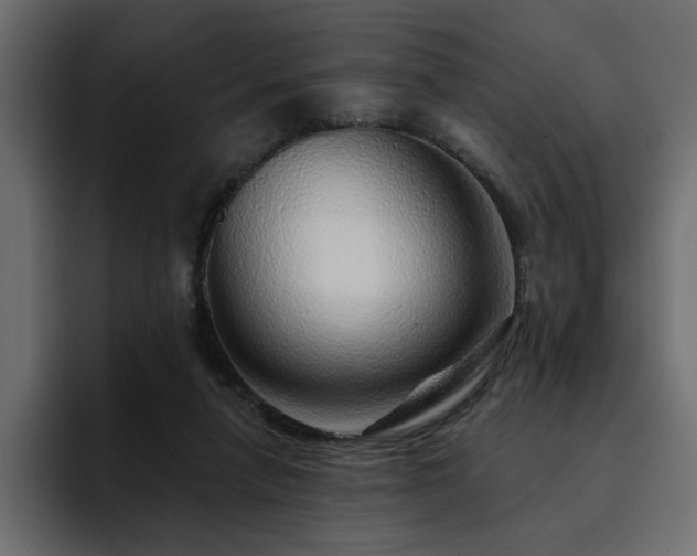 X0000095130258200712141202