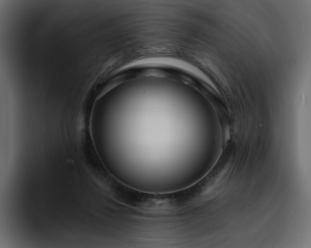 X0000095130260200712141202