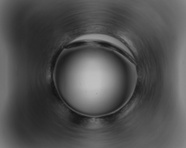 X0000095130261200712141202