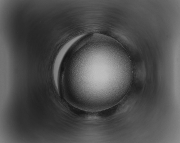 X0000095130262200712141202