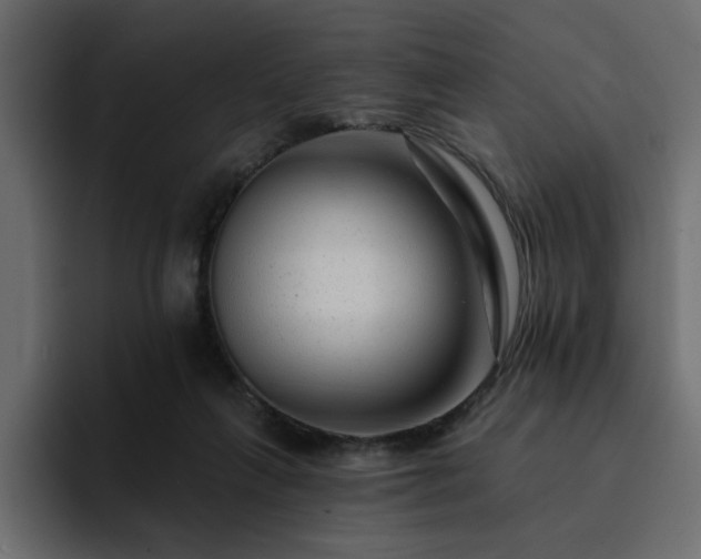 X0000095130263200712141202