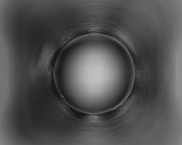 X0000095130265200712141202