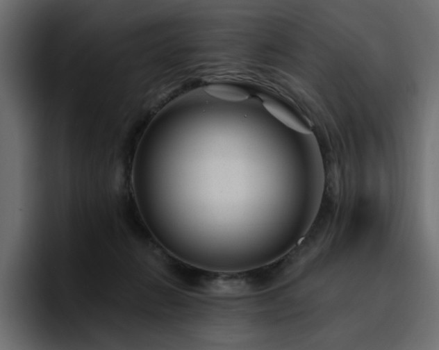 X0000095130270200712141202