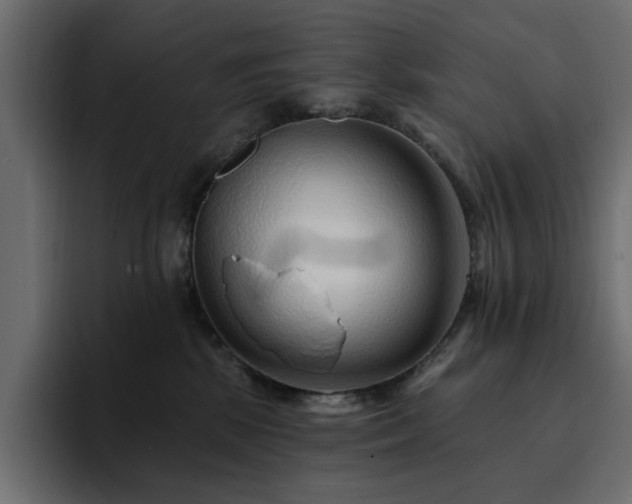 X0000095130281200712141202