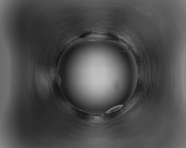 X0000095130285200712141202