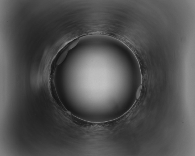 X0000095130290200712141202