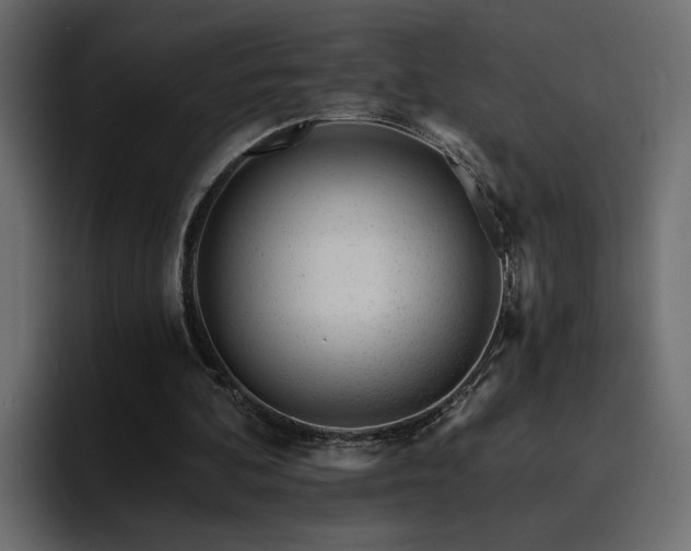 X0000095130292200712141202