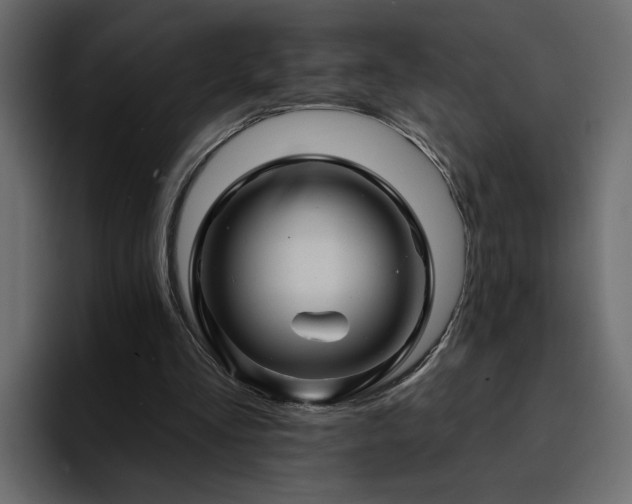 X0000095130293200712141202