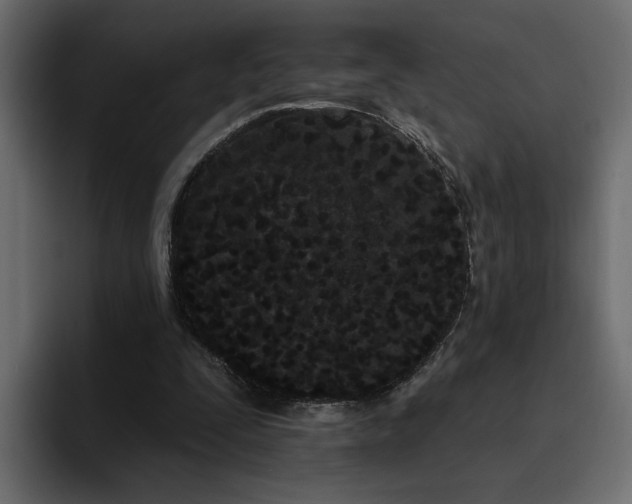 X0000095130295200712141202