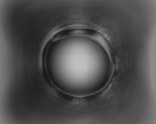 X0000095130296200712141202