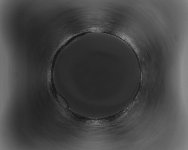 X0000095130297200712141202