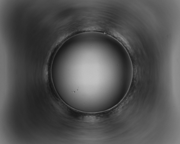 X0000095130298200712141202