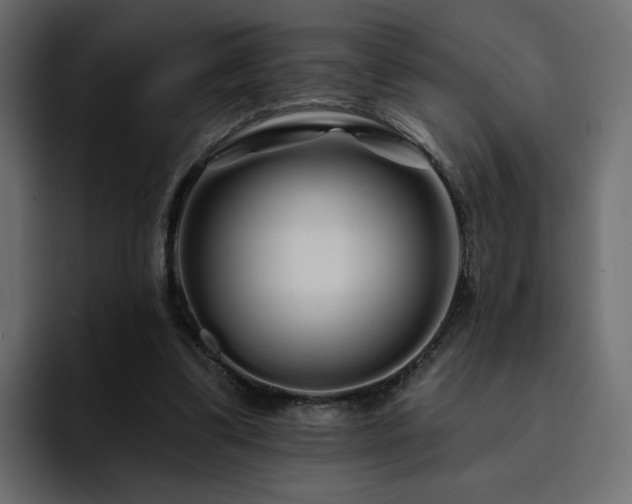 X0000095130299200712141202