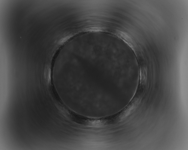 X0000095130301200712141202