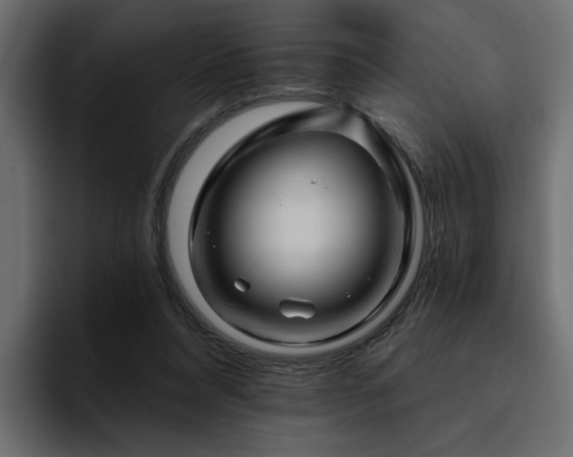 X0000095130304200712141202