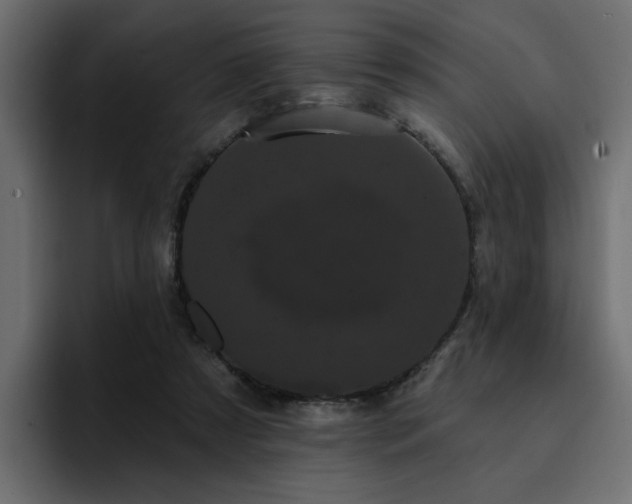 X0000095130305200712141202