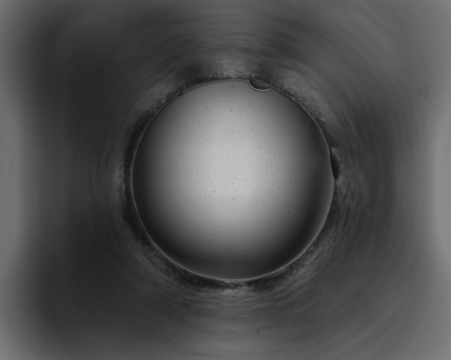 X0000095130306200712141202