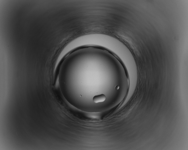 X0000095130308200712141202