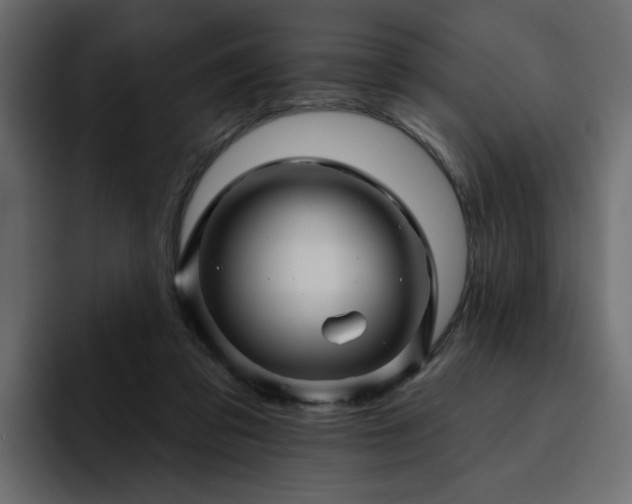 X0000095130309200712141202