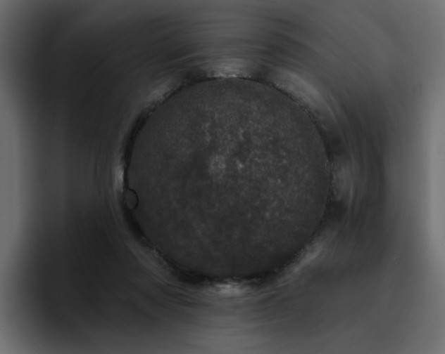 X0000095130310200712141202