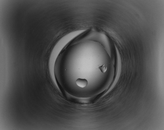 X0000095130312200712141202